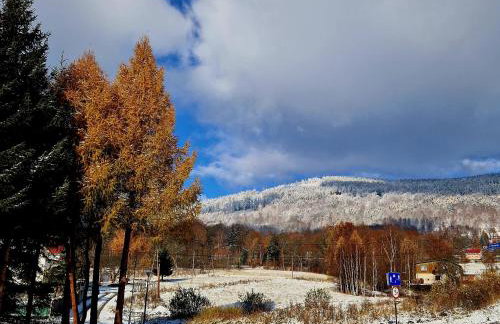 Apartament Mountains Góry Sowie - Foto 51