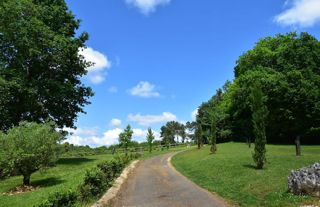 Superb Holiday Home in Busse With Swimming Pool - Foto 40