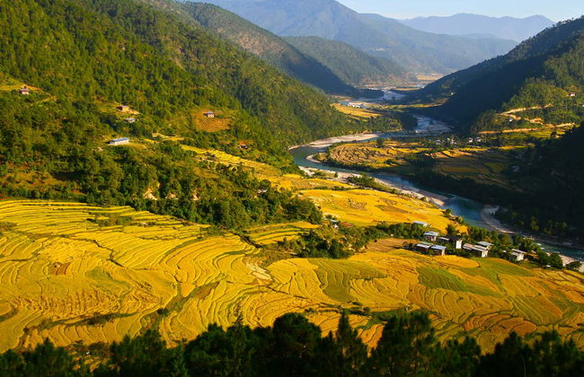Bhutan 5 Day Private Tour - Photo 6