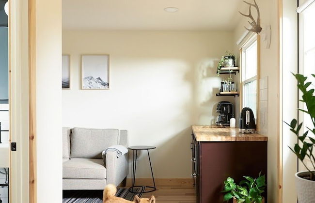 The Rex Hotel - Foto 12