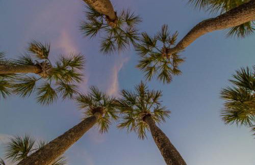 Blue Wave Villa West - Foto 44