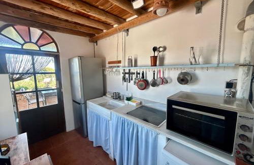 La Washingtonia - Foto 49