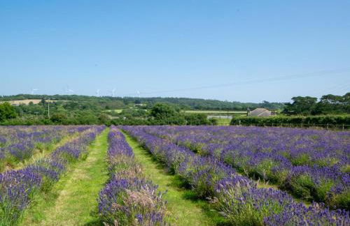 2 Bed in Helston oc-41378 - Foto 17