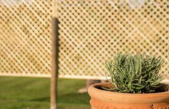 Wild Northumberland Glamping - Foto 60