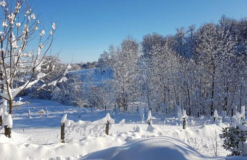 Casa Vacanze Le Primule - Foto 18