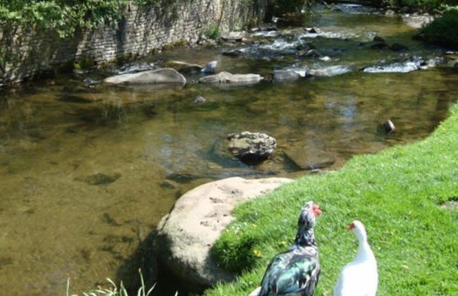 Watermill Cottages - Foto 17