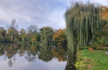 3Raumwohnung mit Balkon in Leipzig Nord BMW, Amazon, Messe & Porsche - Foto 48