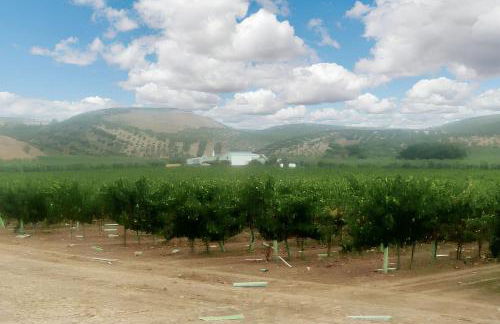 Charming House with Pool in Montilla - Foto 52