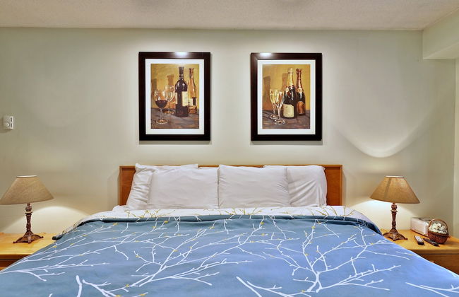 Mountain Green Resort by Killington VR - 1 Bedrooms - Foto 30