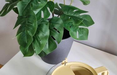 EL RINCÓN DE SAN NICOLÁS - Foto 15