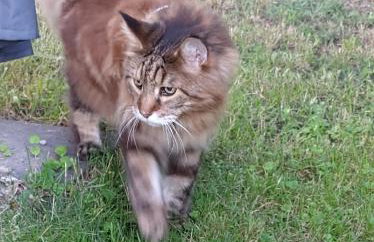 Agroturystyka Magnolia - Foto 43