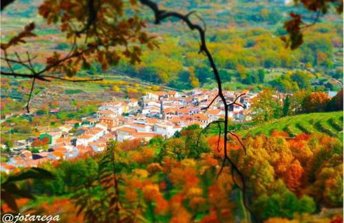 Rincón del Valle del Jerte - Foto 25