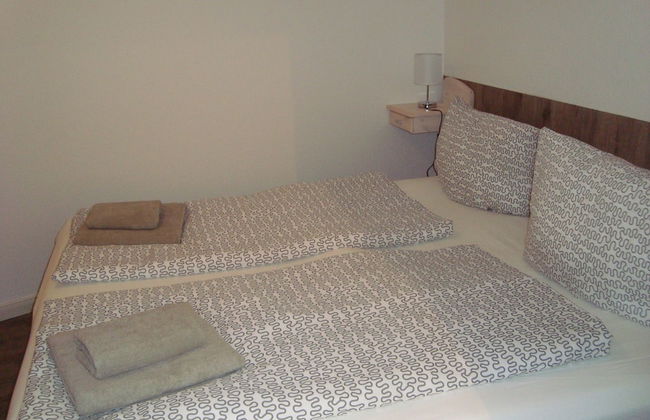 Muschelsucher - Foto 9