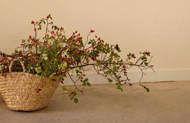 El Balcón de Tenzuela - Foto 11