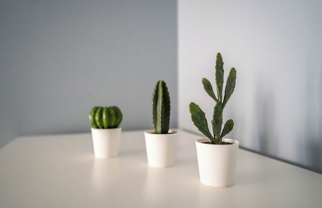 Brand-new 2bd Apt in Heart of Stavanger 0 min to Downtown - Photo 35