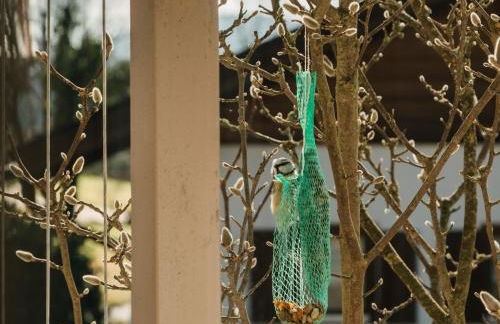 Im Bayerischen Wald - Foto 26