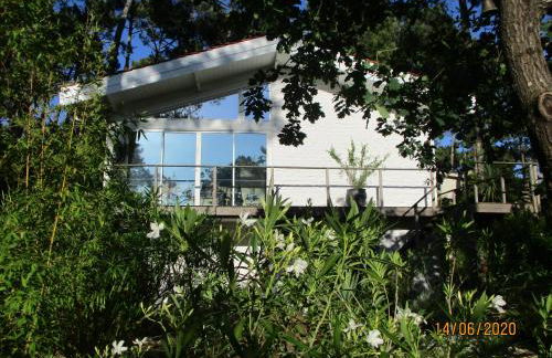 une maison lumineuse sous les pins - Foto 1