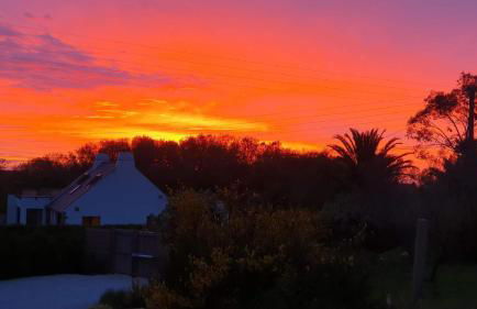 Les meloines - Foto 49