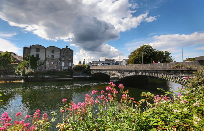 Visita guiada por Galway - Foto 9