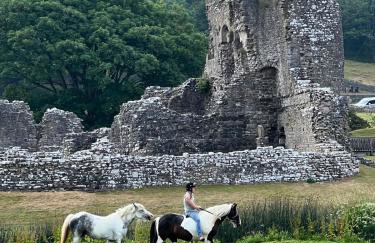 Luxury Modern 3 Bedroom House - Foto 9