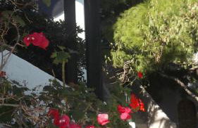 Villa Kalliopi - Foto 73