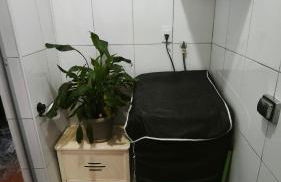 Cantinho da Jessi - Photo 4