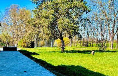 Dormi nella SPA privata con letto ad acqua, sauna, doccia emozionale e kneipp - Foto 58