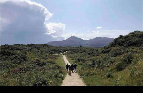 Sarsa Cottage Ballynahinch - Foto 21