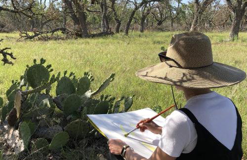 Art Ranch - Goldsworthy - Hill Country Getaway, Gas Grill, Art Classes Onsite - Foto 22