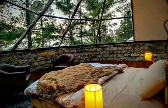 Orangeloft Glamp Park - Photo 4