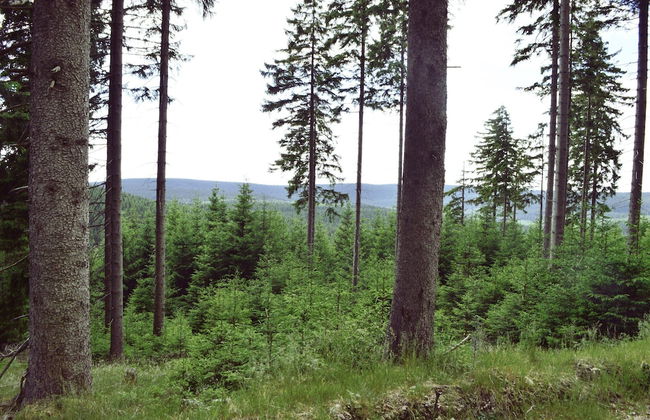 Mountain Apartment Getaway - Foto 38