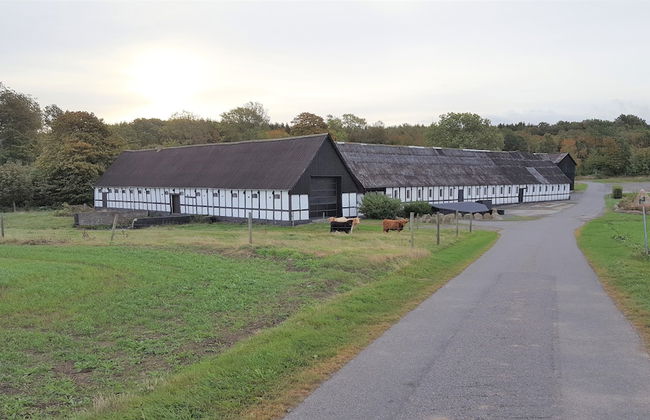 Lehnsgaard Ranch - Foto 1