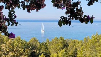 Appart-villa Les 2 pins - Foto 2