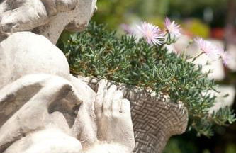 Residence Le Vigne - Foto 12