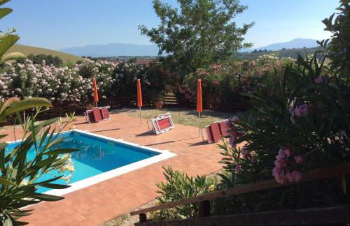 Agriturismo Fattoria colle Luca - Foto 17