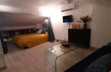 Un nid sur les toits avec terrasse - Photo 9