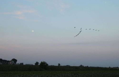 Holiday home Cottage am Rhin - Foto 22