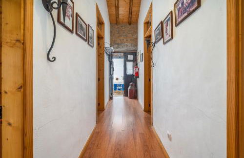 Horta Do Zé Miguel - Foto 34