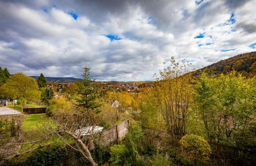 Chalet Hüttenzauber - Foto 31