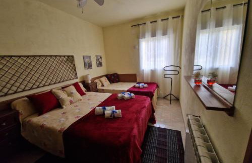 Lo Racó de Peret - Foto 46