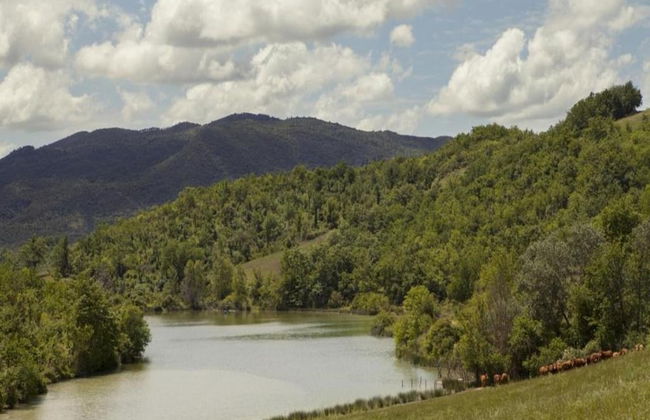 Cozy Stay With Scenic Views - Foto 37