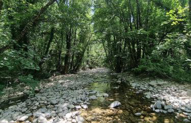 Αρχοντικό στο Διπόταμο - Foto 36