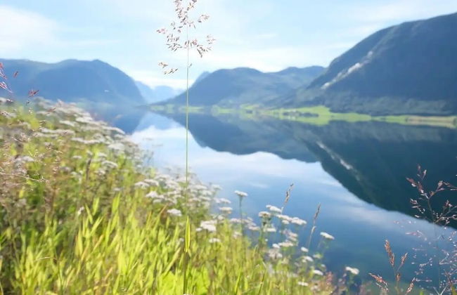 Jølster Lake View - Foto 79