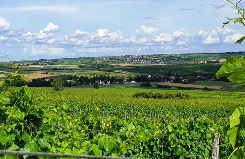 Gästehaus Maurer - Foto 11