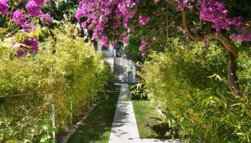 Jardim de Copas - Foto 2, Garden, Garden view