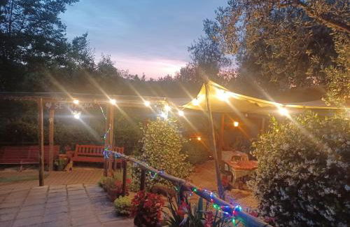 Agriturismo Cisogna - Foto 71