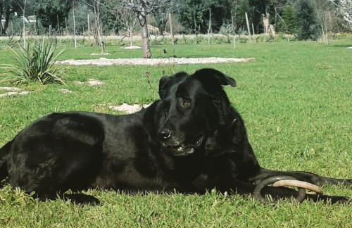 Casa de Coco - Foto 31