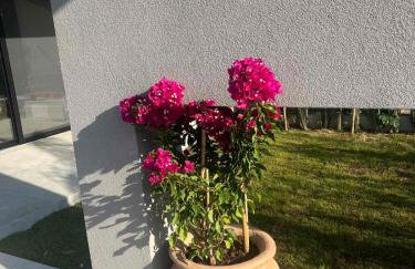 Grand Kourouta - Foto 24