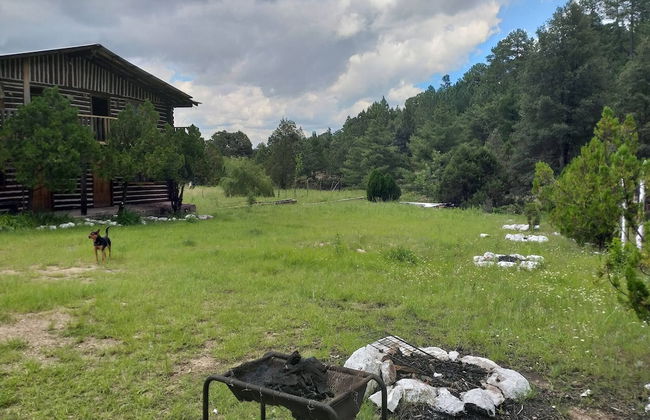 Room-parador Arewá La Energía Que Impuls - Foto 26