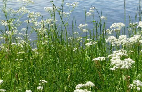 Ferienhaus Am Yachthafen - Pier 30, wunderschöne 2 Pers -Whg - Foto 2